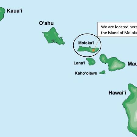 Molokai Island Retreat With Beautiful Ocean Views And Pool - Newly Remodeled! Appartement Ualapue Buitenkant foto