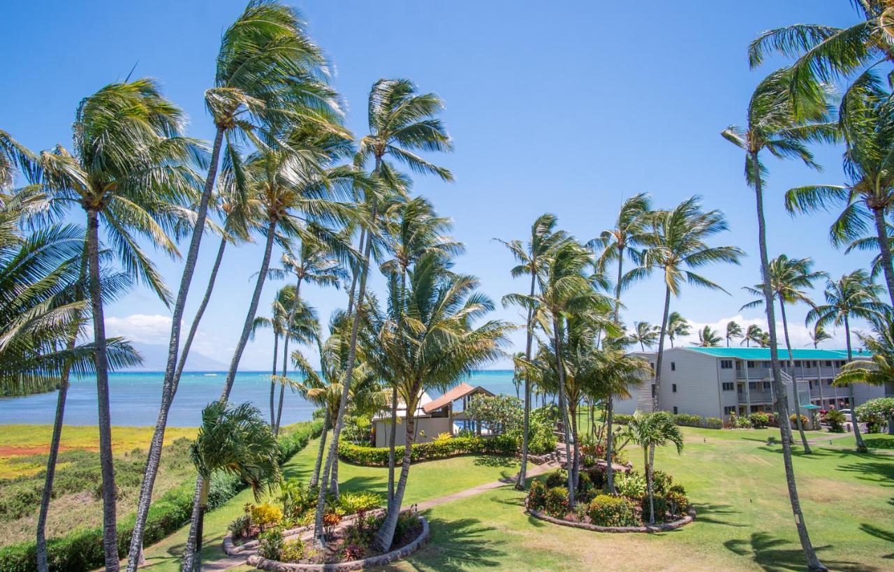 Molokai Island Retreat With Beautiful Ocean Views And Pool - Newly Remodeled! Appartement Ualapue Buitenkant foto
