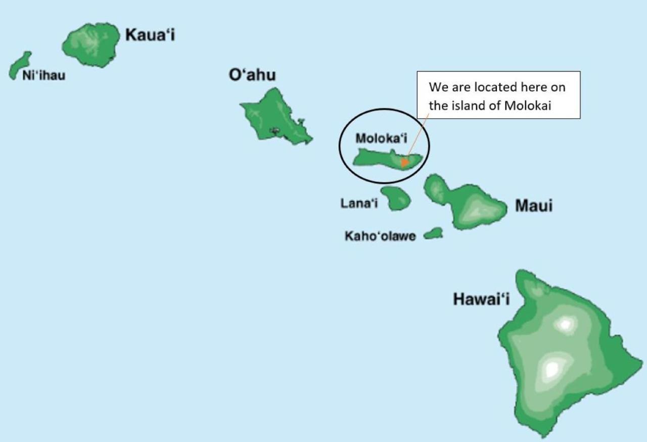 Molokai Island Retreat With Beautiful Ocean Views And Pool - Newly Remodeled! Appartement Ualapue Buitenkant foto